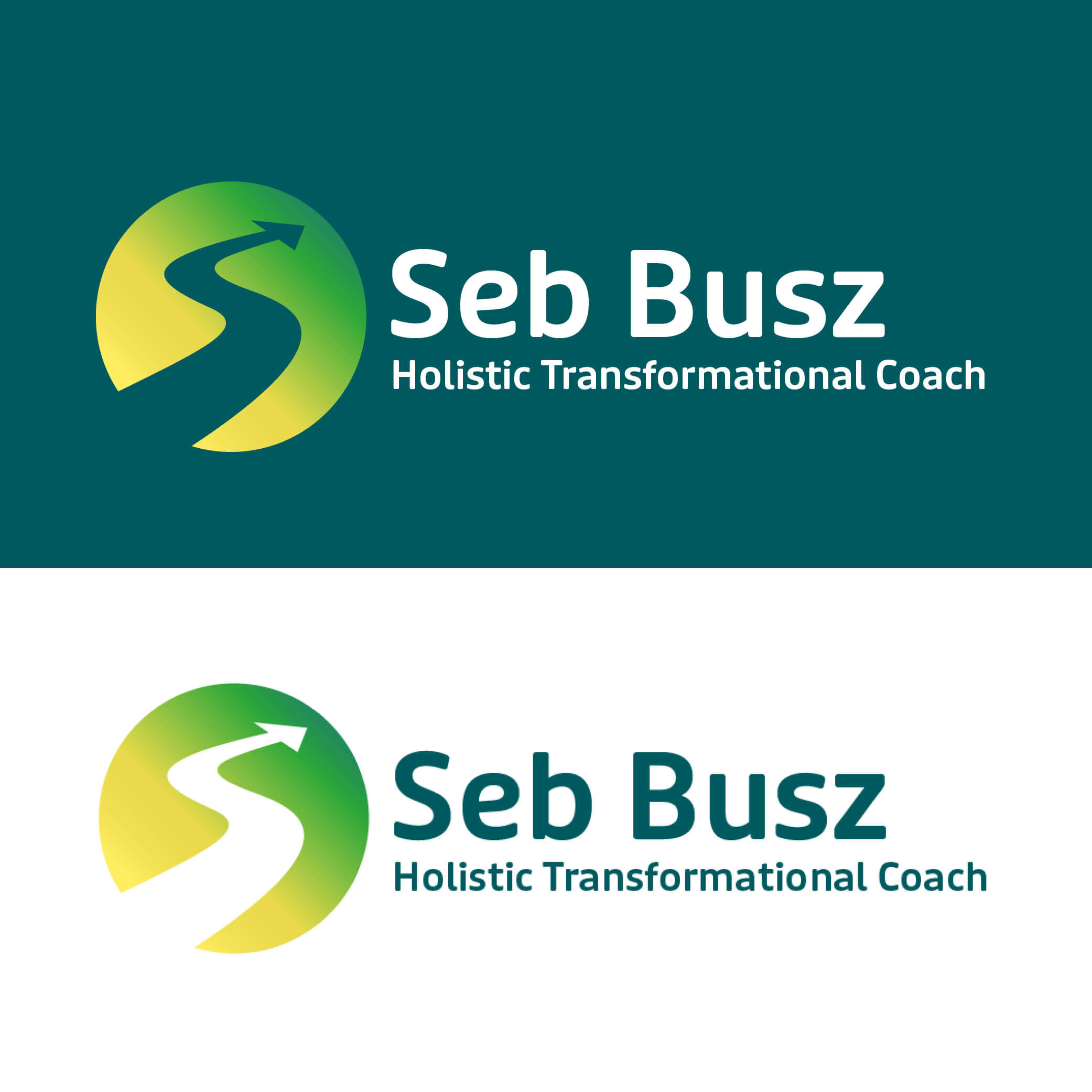 logo design example for seb busz