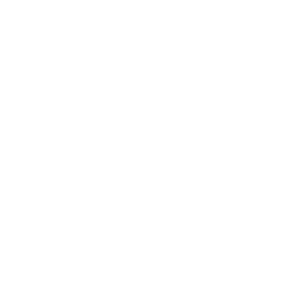 fonts icon